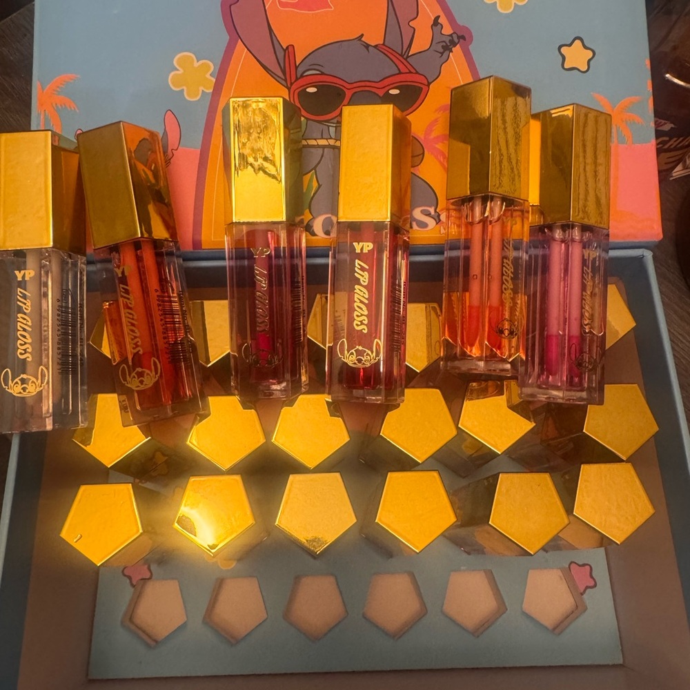 Lip Gloss Set - Vibrant Shades with case